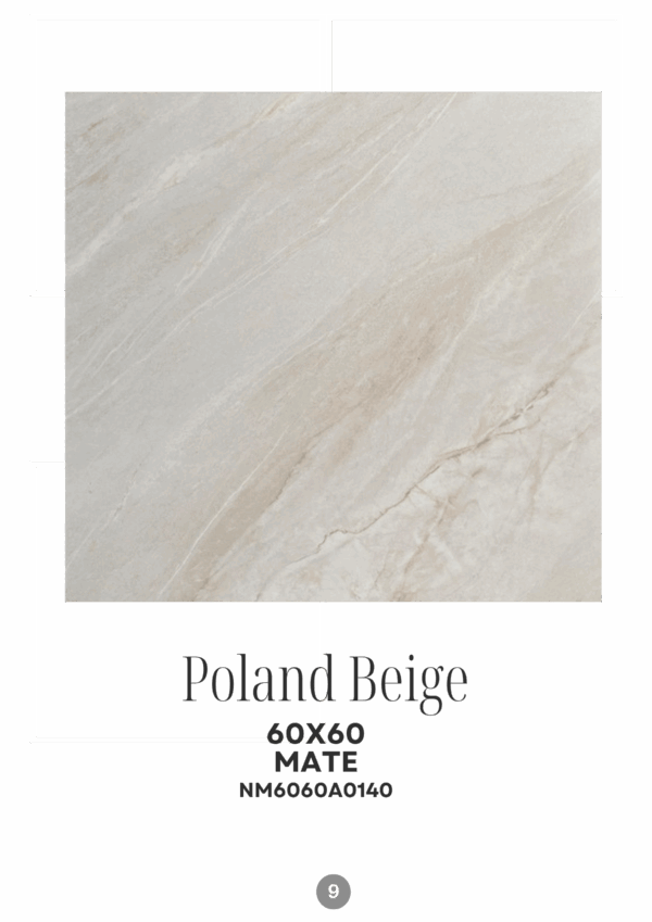10_20251118_202329_0009 POLAND BEIGE 60X60 MATE