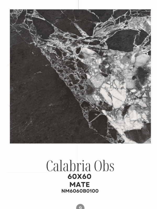 CALABRIA OBSCURO 60X60 MATE