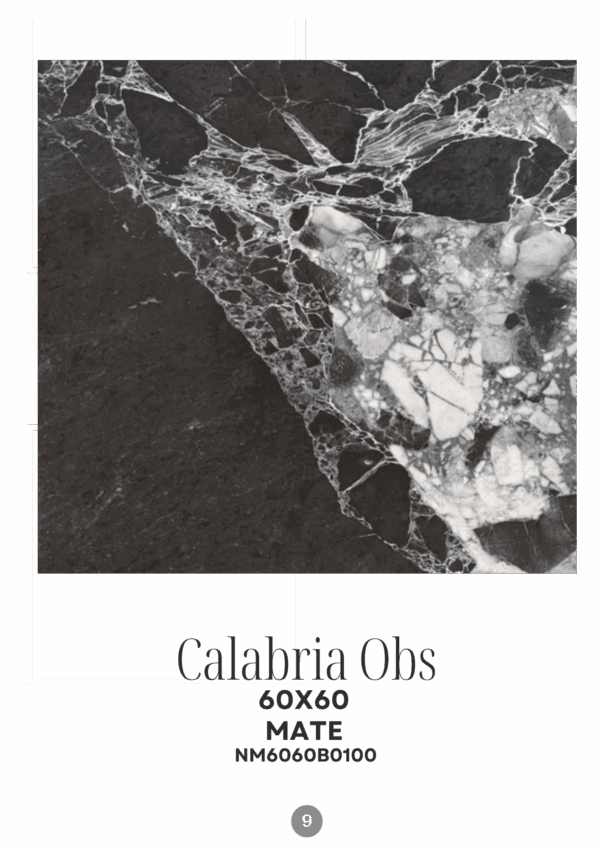 CALABRIA OBSCURO 60X60 MATE
