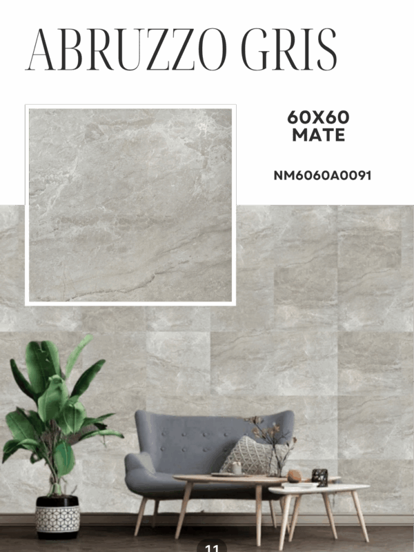 15_20251118_202330_0014 ABRUZZO GRIS 60X60 MATE