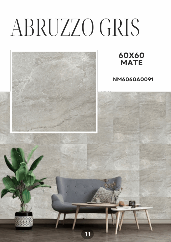 ABRUZZO GRIS 60X60 MATE