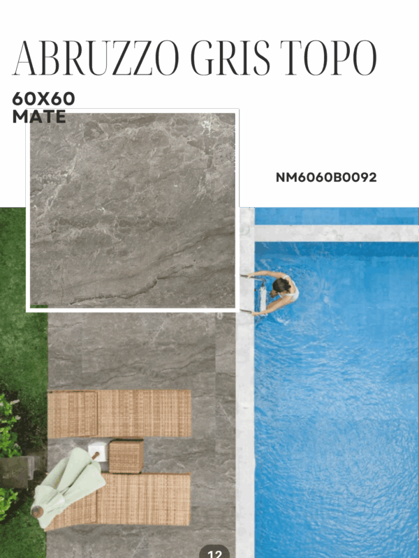16_20251118_202330_0015 ABRUZZO GRIS TOPO 60X60 MATE