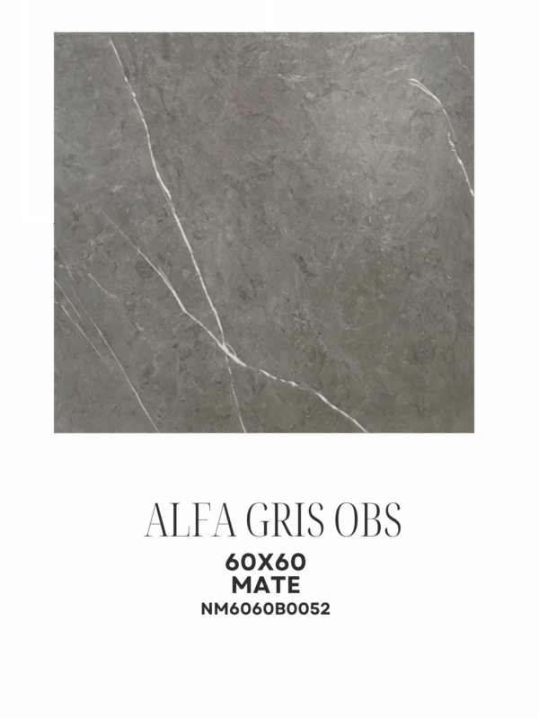 ALFA GRIS OBCURO 60X60 MATE