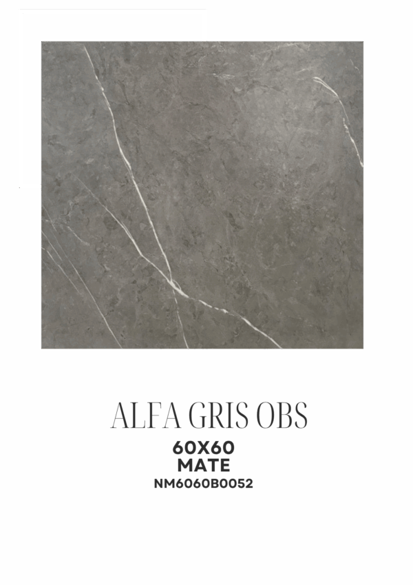 ALFA GRIS OBCURO 60X60 MATE