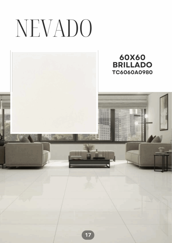 20_20251118_202330_0019 NEVADO 60X60 BRILLADO