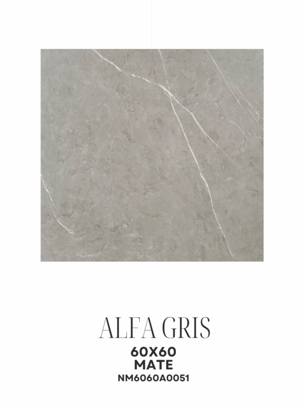 20_20251118_214417_0001 ALFA GRIS 60X60 MATE