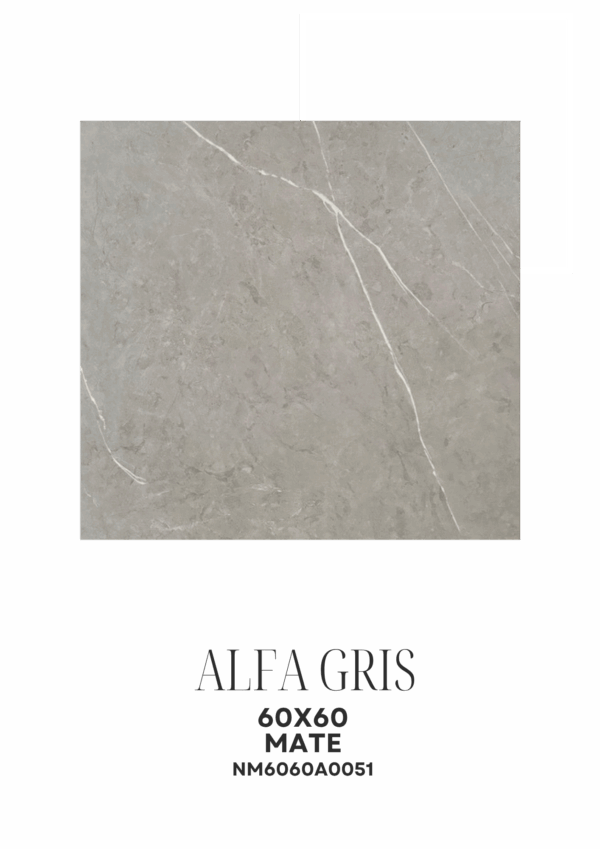 ALFA GRIS 60X60 MATE