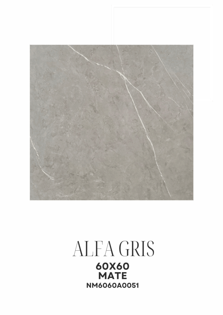 ALFA GRIS 60X60 MATE