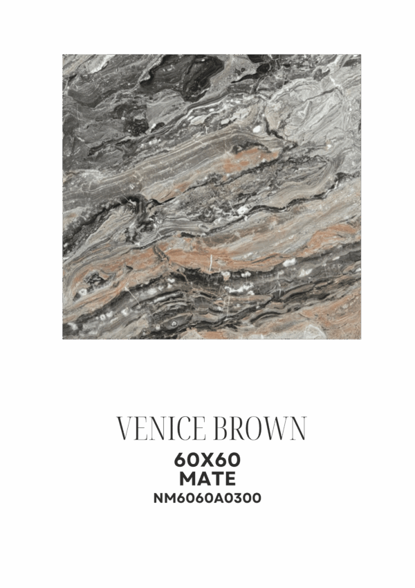 21_20251118_214417_0002 VENICE BROWN 60X60 MATE