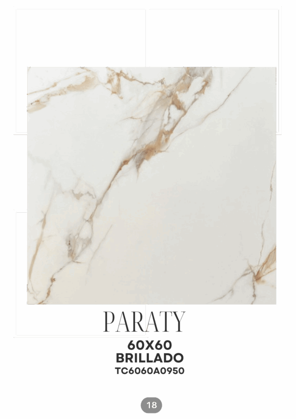 PARATY 60X60 BRILLADO