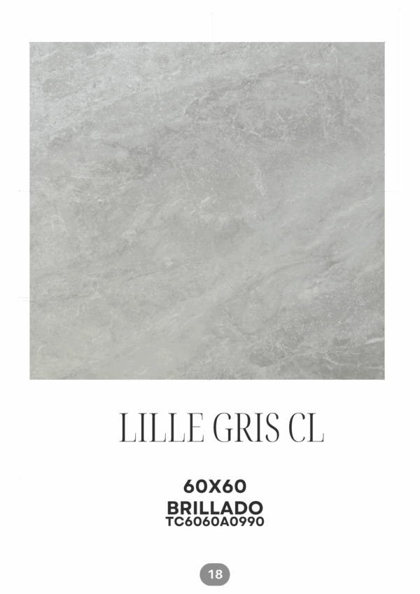 24_20251118_202330_0023 LILLE GRIS CLARO 60X60 BRILLADO
