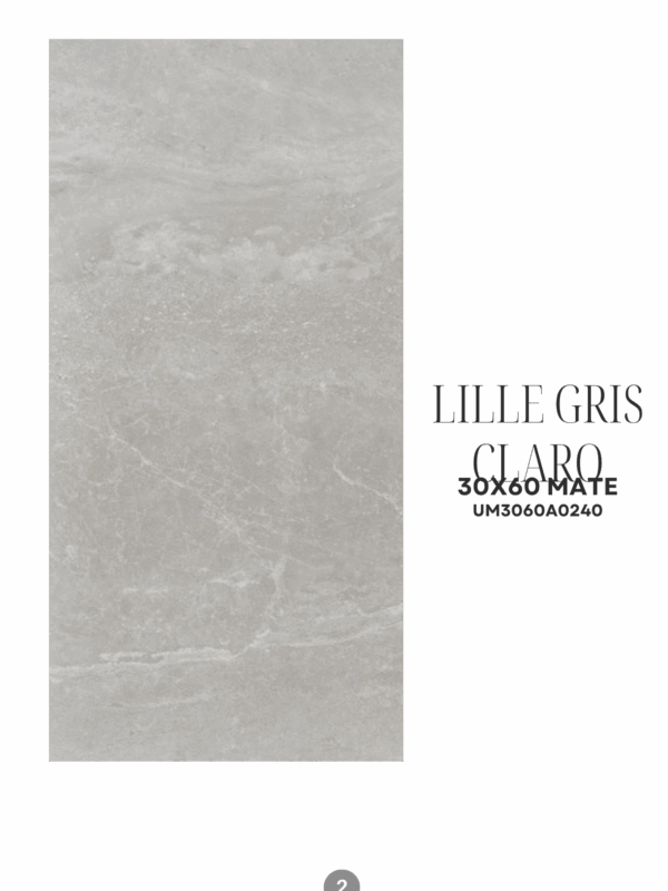 LILLE GRIS CLARO 30X60 MATE