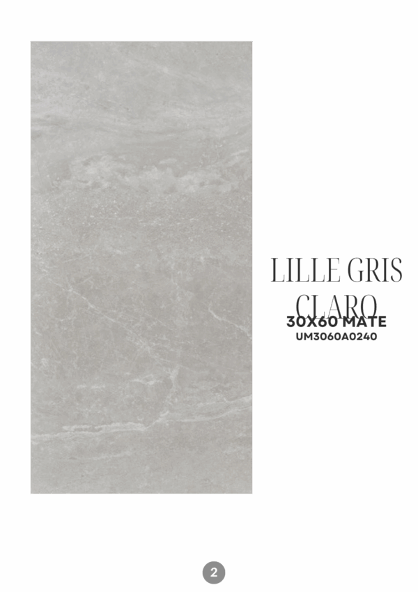 LILLE GRIS CLARO 30X60 MATE