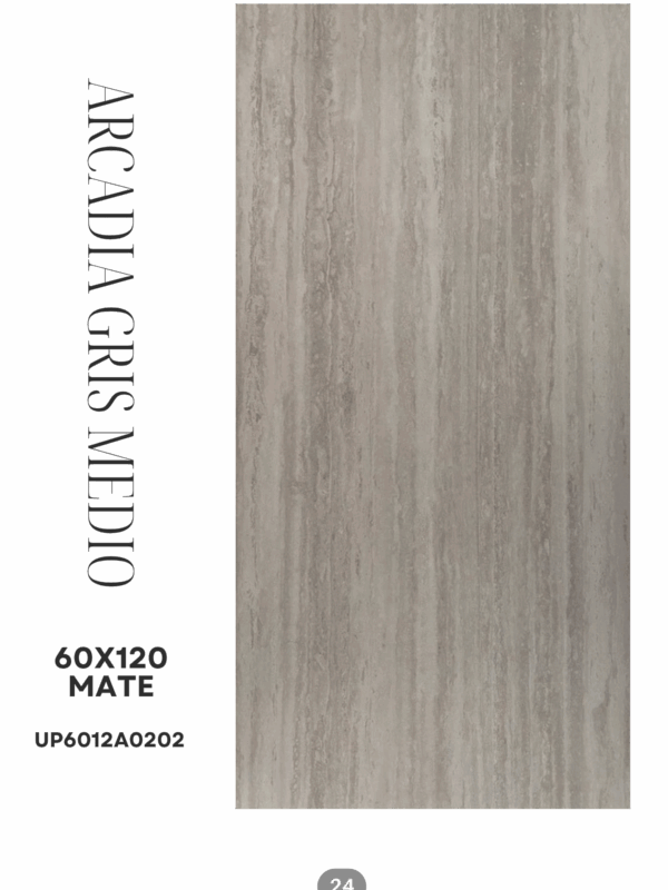 ARCADIA GRIS MEDIO 60X120 MATE