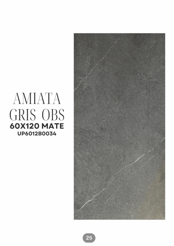 34_20251118_202331_0033 AMIATA GRIS OBSCURO 60X120 MATE