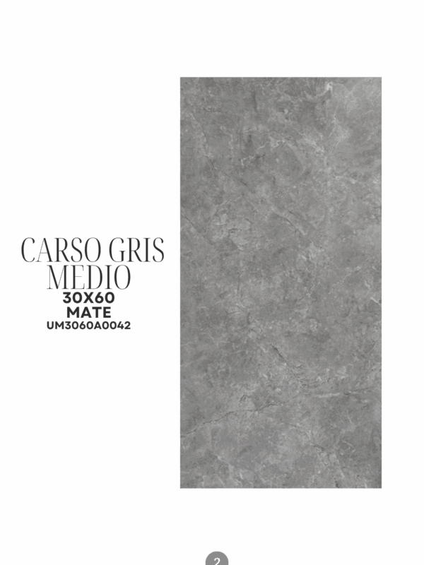 CARSO GRIS MEDIO 30X60 MATE