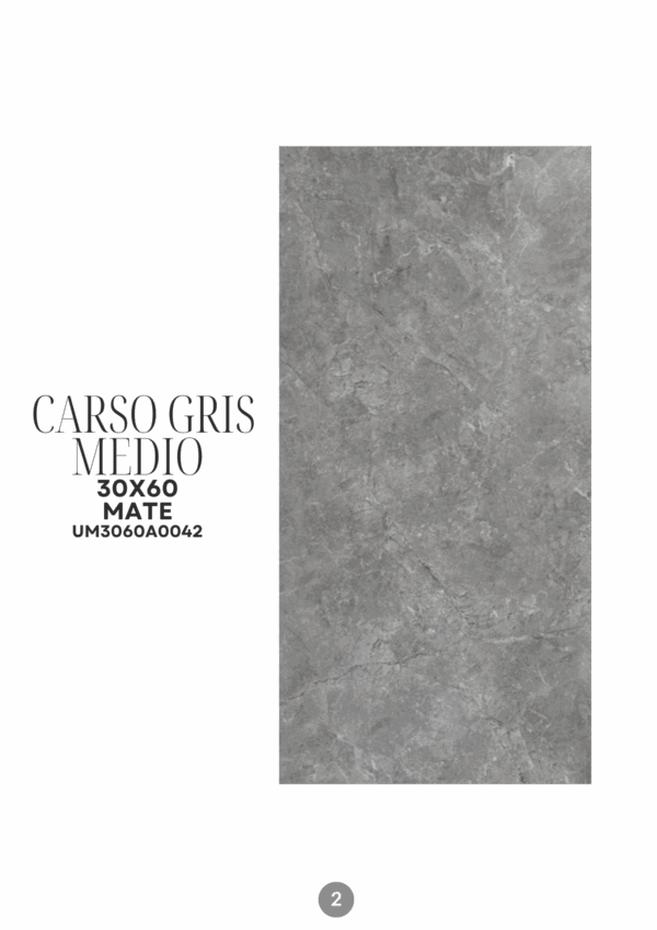 CARSO GRIS MEDIO 30X60 MATE