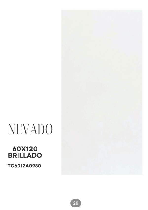40_20251118_202332_0039 NEVADO 60X120 BRILLADO