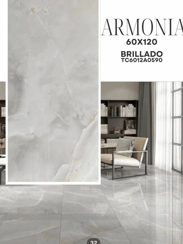 ARMONIA 60X120 BRILLADO