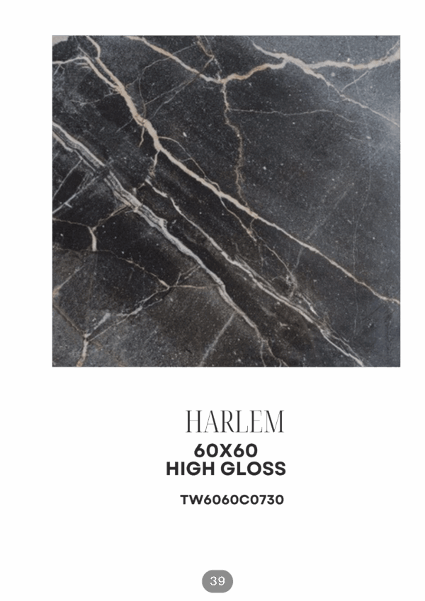 54_20251118_202333_0053 HARLEM 60X60HIGH GLOSS