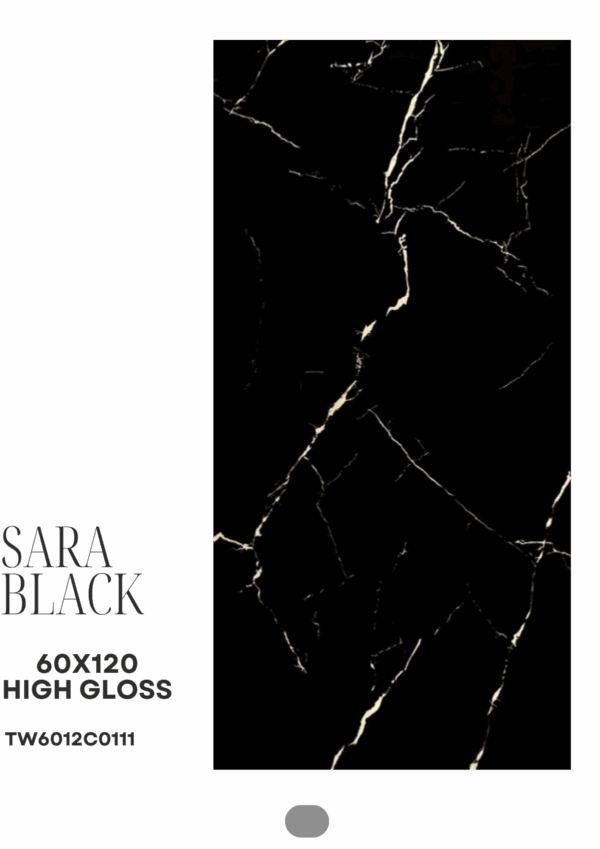 56_20251118_202333_0055 SARAH BLACK 60X120 HIGH GLOSS