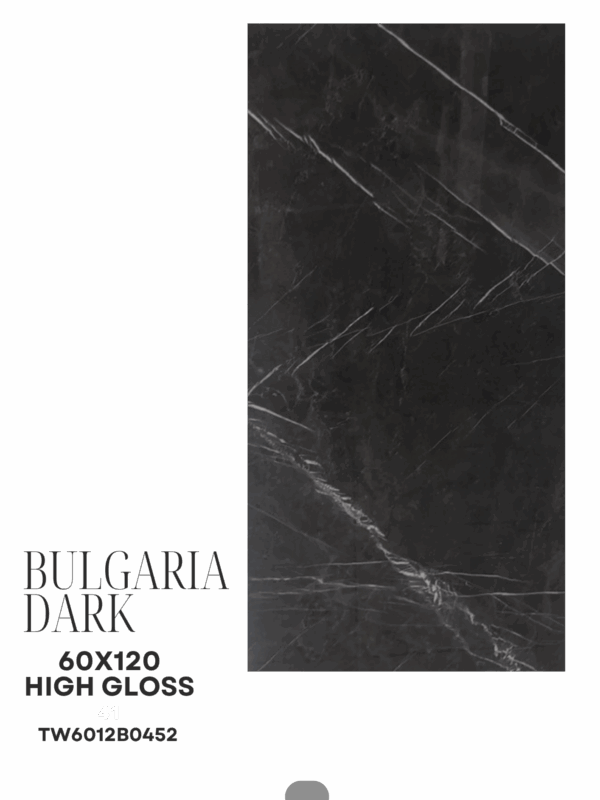 BULGARIA DARK 60X120 HIGH GLOSS