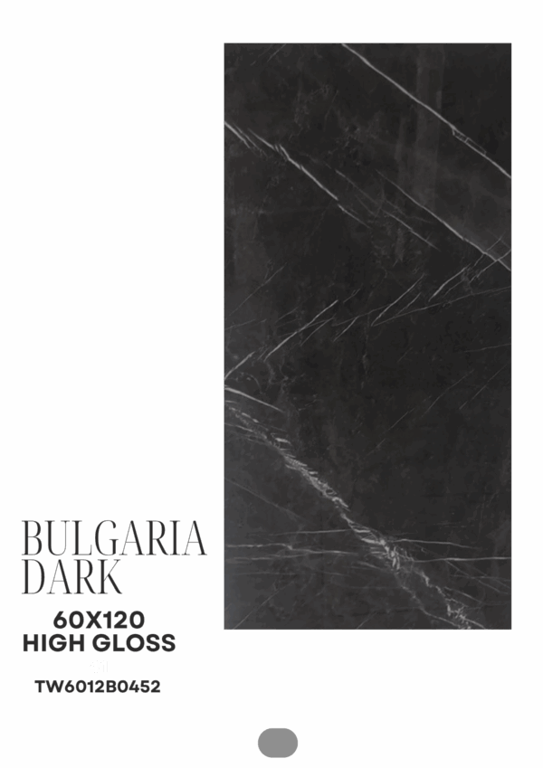 57_20251118_202333_0056 BULGARIA DARK 60X120 HIGH GLOSS